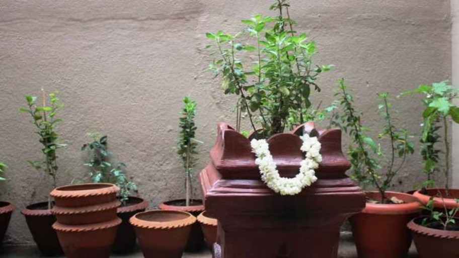 ತುಳಸಿ ಗಿಡವನ್ನು ಮನೆಯಲ್ಲಿ ಯಾವ ದಿಕ್ಕಿನಲ್ಲಿ ಇಡಬೇಕು? ವಾಸ್ತು ಪ್ರಕಾರ ಈ ದಿಕ್ಕು ಅತ್ಯಂತ ಶುಭ!