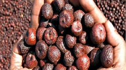 Arecanut Price: ರಾಜ್ಯದ ಯಾವ್ಯಾವ ಮಾರುಕಟ್ಟೆಯಲ್ಲಿ ಅಡಿಕೆ ಧಾರಣೆ ಎಷ್ಟಿದೆ? ಇಲ್ಲಿದೆ ಸಂಪೂರ್ಣ ದರಪಟ್ಟಿ