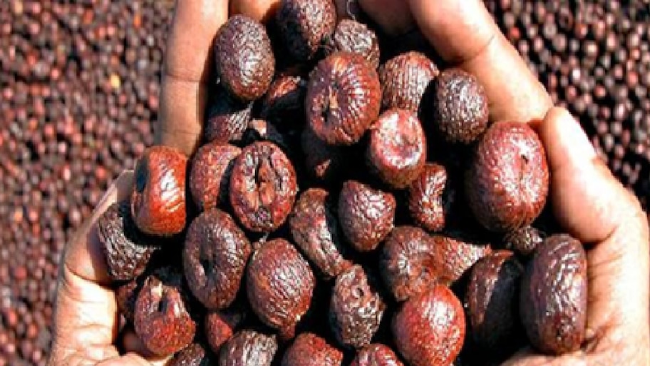 Arecanut Price: ರಾಜ್ಯದ ಯಾವ್ಯಾವ ಮಾರುಕಟ್ಟೆಯಲ್ಲಿ ಅಡಿಕೆ ಧಾರಣೆ ಎಷ್ಟಿದೆ? ಇಲ್ಲಿದೆ ಸಂಪೂರ್ಣ ದರಪಟ್ಟಿ