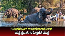 5 ತಿಂಗಳ ಬಳಿಕ ಕೊಡಗಿನ ಪ್ರಸಿದ್ಧ ದುಬಾರೆ ಸಾಕಾನೆ ಶಿಬಿರ ಮತ್ತೆ ಪ್ರವಾಸಿಗರ ವೀಕ್ಷಣೆಗೆ ಮುಕ್ತ