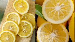  lemon seed efFect | ಆಕಸ್ಮಿಕವಾಗಿ ನಿಂಬೆ ಬೀಜ ನುಂಗಿದ್ರಾ? ದೇಹದೊಳಗೆ ಏನಾಗುತ್ತೆ ಗೊತ್ತಾ? 