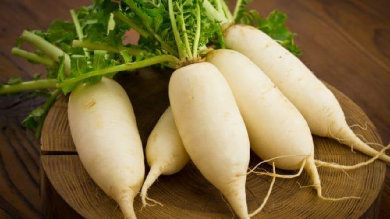  radish