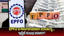 EPFO e-Nomination: ಪಿಎಫ್‌ ಖಾತೆಯಲ್ಲಿ ಇ-ನಾಮಿನಿ ಏಕೆ ಮುಖ್ಯ! ಇಪಿಎಫ್‌ಒ ಇ-ನಾಮನಿರ್ದೇಶನದ ಸುಲಭ ವಿಧಾನ..