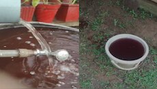 ಮೂಢನಂಬಿಕೆ ಬೇಡ, ಆತಂಕವೂ ಬೇಡ: ಕೊಡಗಿನ ‘ಕೆಂಪು ಮಳೆ’ ಹಿಂದಿನ ಅಸಲಿ ಸತ್ಯ ಇಲ್ಲಿದೆ!