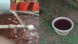 ಮೂಢನಂಬಿಕೆ ಬೇಡ, ಆತಂಕವೂ ಬೇಡ: ಕೊಡಗಿನ ‘ಕೆಂಪು ಮಳೆ’ ಹಿಂದಿನ ಅಸಲಿ ಸತ್ಯ ಇಲ್ಲಿದೆ!