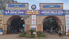 ಧಾರವಾಡ ಕೃಷಿಮೇಳಕ್ಕೆ ಇಂದು ತೆರೆ: ʼವಿಸ್ಮಯಕಾರಿ ಕೀಟ ಪ್ರಪಂಚʼ ಪ್ರದರ್ಶನಕ್ಕೆ ಹರಿದುಬಂದ ಜನಸಾಗರ!