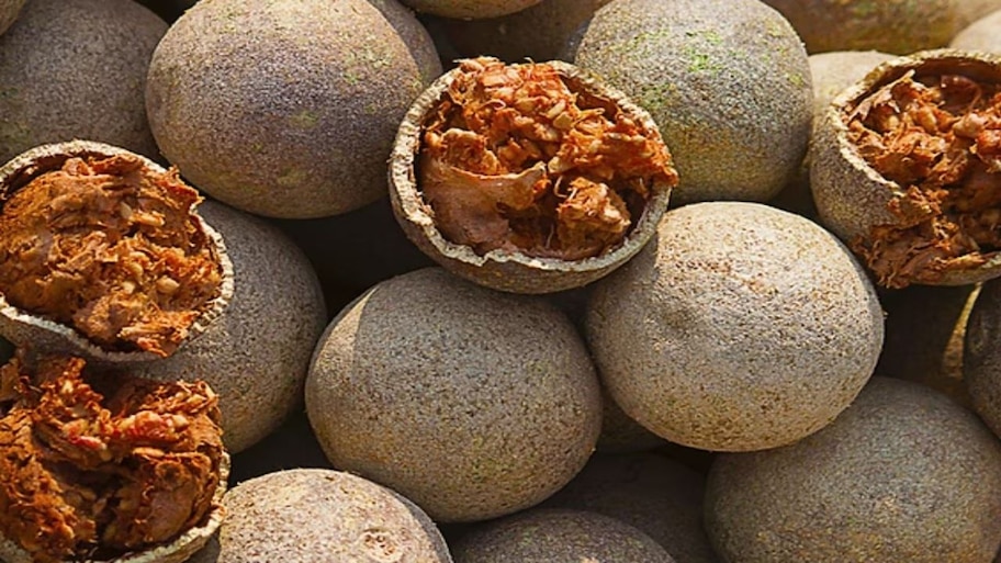 ಅಸಿಡಿಟಿ ನಿವಾರಣೆಗೆ ʼರಾಮಬಾಣʼ ಈ ಹಣ್ಣು.. ವಾರಕ್ಕೆ ಒಂದು ಬಾರಿ ತಿಂದರೂ ಜೀರ್ಣಕಾರಿ ಸಮಸ್ಯೆಯಿಂದ ದೂರವೇ ಉಳಿಯಬಹುದು!