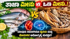 ತಾಜಾ ಮೀನು vs ಒಣ ಮೀನು..! ಹೃದಯ ಮತ್ತು ಮೆದುಳಿನ ಆರೋಗ್ಯಕ್ಕೆ ಯಾವುದು ನಿಜಕ್ಕೂ ಸುರಕ್ಷಿತ?