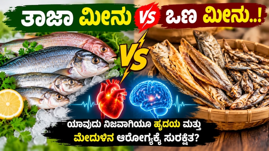ತಾಜಾ ಮೀನು vs ಒಣ ಮೀನು..! ಹೃದಯ ಮತ್ತು ಮೆದುಳಿನ ಆರೋಗ್ಯಕ್ಕೆ ಯಾವುದು ನಿಜಕ್ಕೂ ಸುರಕ್ಷಿತ?
