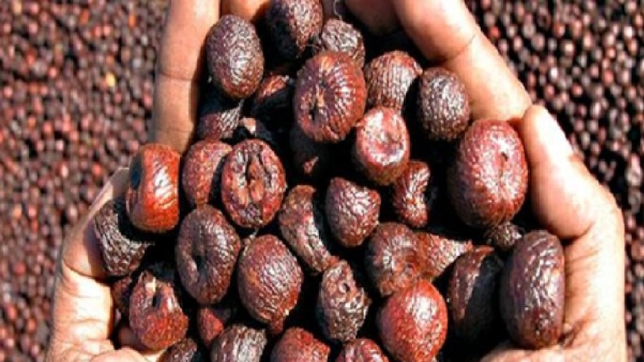 Arecanut Price: ರಾಜ್ಯದ ಮಾರುಕಟ್ಟೆಯಲ್ಲಿ ಅಡಿಕೆ ದರ ಭರ್ಜರಿ ಏರಿಕೆ! ಇಂದಿನ ದರಪಟ್ಟಿ ಇಲ್ಲಿದೆ