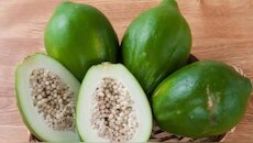 Raw Papaya Benefits: ಬೆಳಿಗ್ಗೆ ಖಾಲಿ ಹೊಟ್ಟೆಯಲ್ಲಿ ಹಸಿ ಪಪ್ಪಾಯಿ ತಿಂದರೆ ಏನಾಗುತ್ತೆ ಗೊತ್ತಾ?