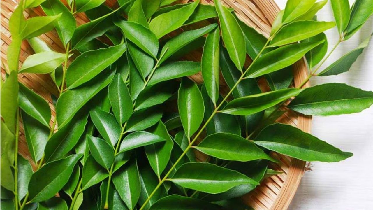 Home Remedy for Weight Loss
