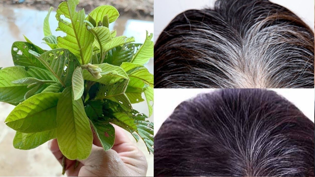 Best way to darkent White Hair