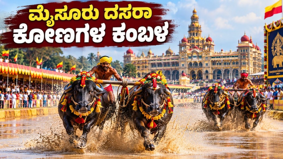 ಮೈಸೂರು ದಸರಾ ಮಹೋತ್ಸವದಲ್ಲಿ ಕಂಬಳ, 150- 160 ಜೊತೆ ಕೋಣಗಳು.. ಹೇಗಿದೆ ಸಿದ್ಧತೆ?   