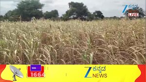 ಚಾಮರಾಜನಗರದಲ್ಲಿ ಕೇಂದ್ರ ತಂಡದಿಂದ ಬರ ಅಧ್ಯಯನ!