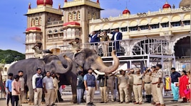 ಮೈಸೂರು ದಸರಾ ಗಜಪಡೆಗೆ ಕುಶಾಲತೋಪಿನ ತಾಲೀಮು
