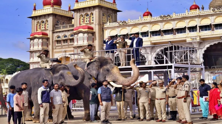 ಮೈಸೂರು ದಸರಾ ಗಜಪಡೆಗೆ ಕುಶಾಲತೋಪಿನ ತಾಲೀಮು