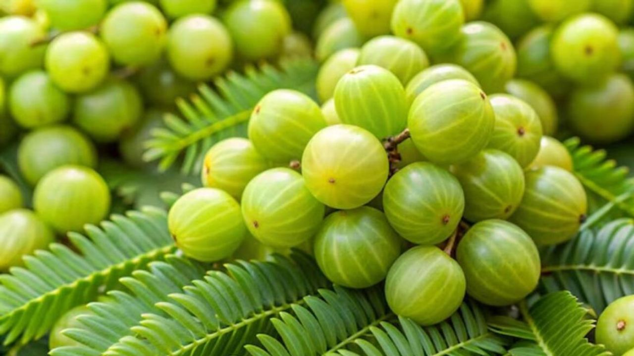 Hair Fall Treatment at Home