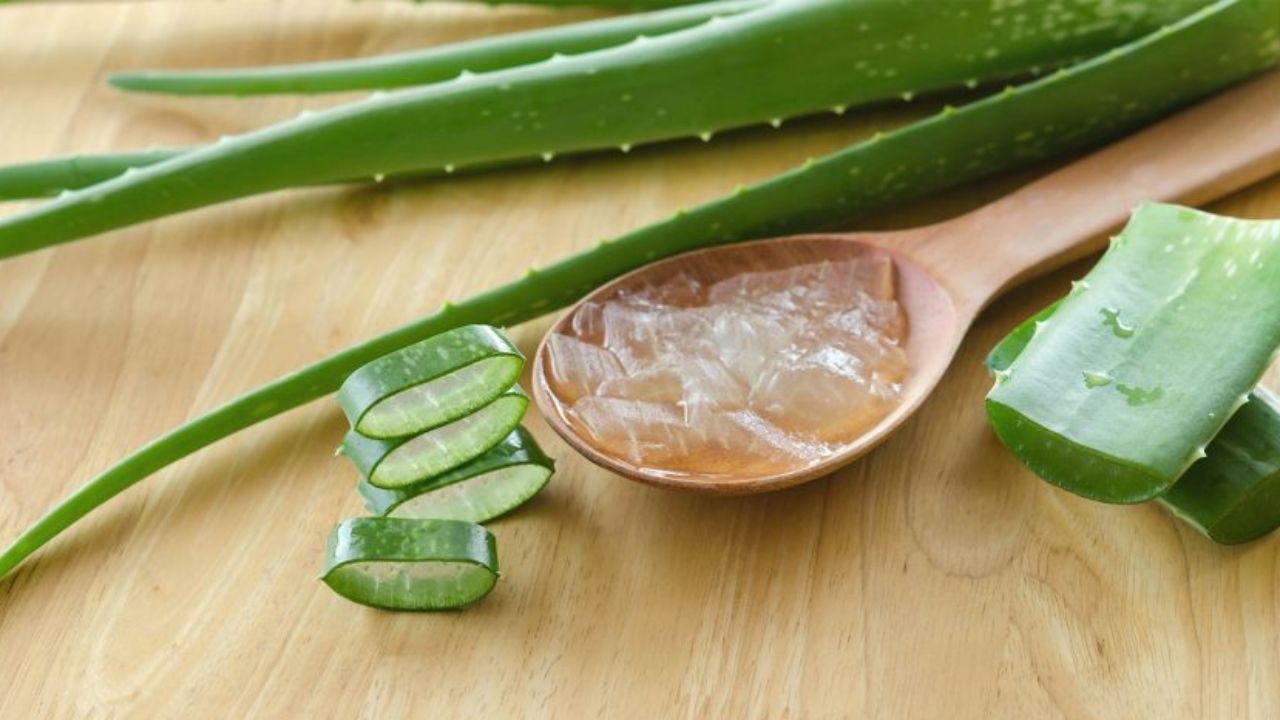 Hair Fall Treatment at Home