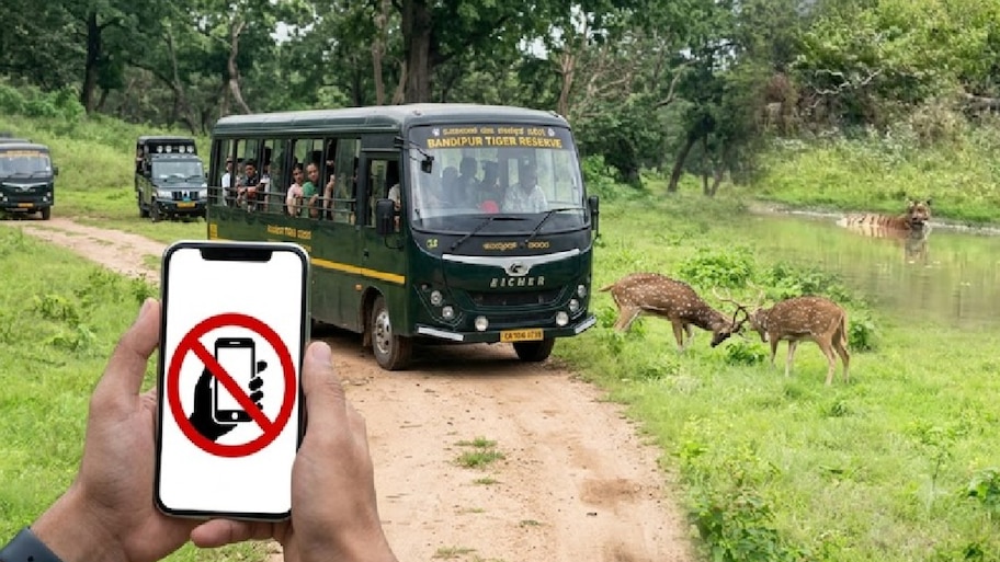 ಸಫಾರಿಯಲ್ಲಿ ಮೊಬೈಲ್ ಬಳಕೆಗೆ ಬ್ರೇಕ್‌! ಪ್ರವಾಸಿಗರು, ಚಾಲಕರು, ಗೈಡ್‌ಗಳಿಗೂ ನಿರ್ಬಂಧ