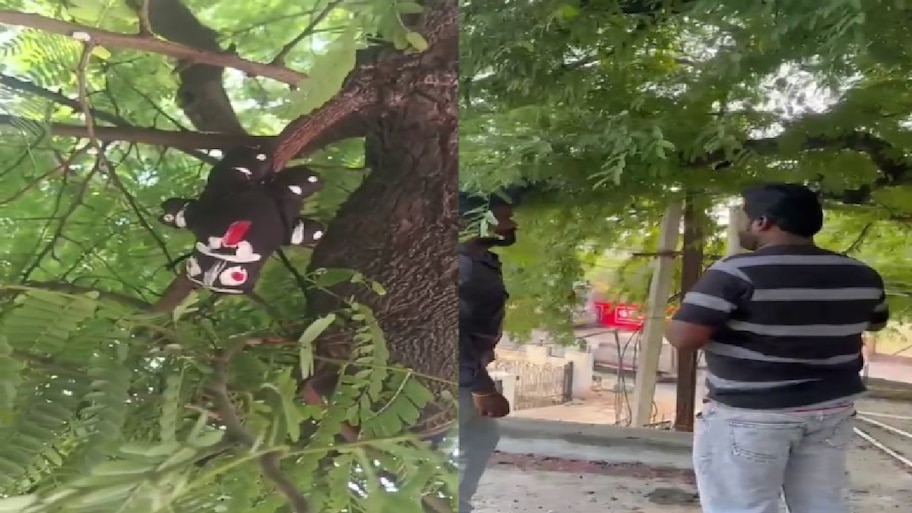 ರಾಯಚೂರು PWD ಕಚೇರಿಯಲ್ಲಿ ಕಪ್ಪು ಗೊಂಬೆ ಪ್ರತ್ಯಕ್ಷ! ವಾಮಾಚಾರದ ಶಂಕೆ, ಇದರ ಹಿಂದಿರುವರ್ಯಾರು?