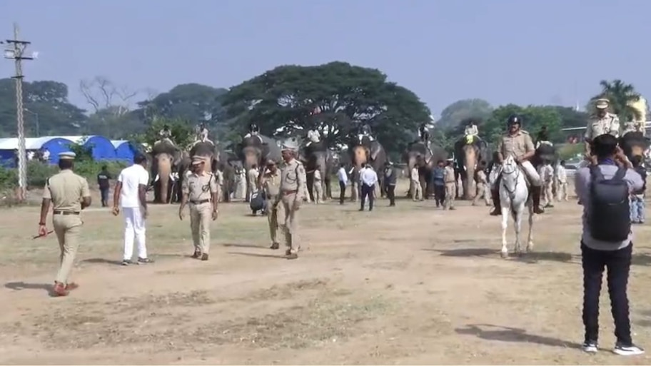 ಮೈಸೂರು ದಸರಾ 2026: ದಸರಾ ಆನೆಗಳು & ಕುದುರೆಗಳಿಗೆ ಯಶಸ್ವಿಯಾಗಿ ಮುಕ್ತಾಯಗೊಂಡ 3ನೇ ಹಂತದ ಕುಶಾಲತೋಪು ತಾಲೀಮು