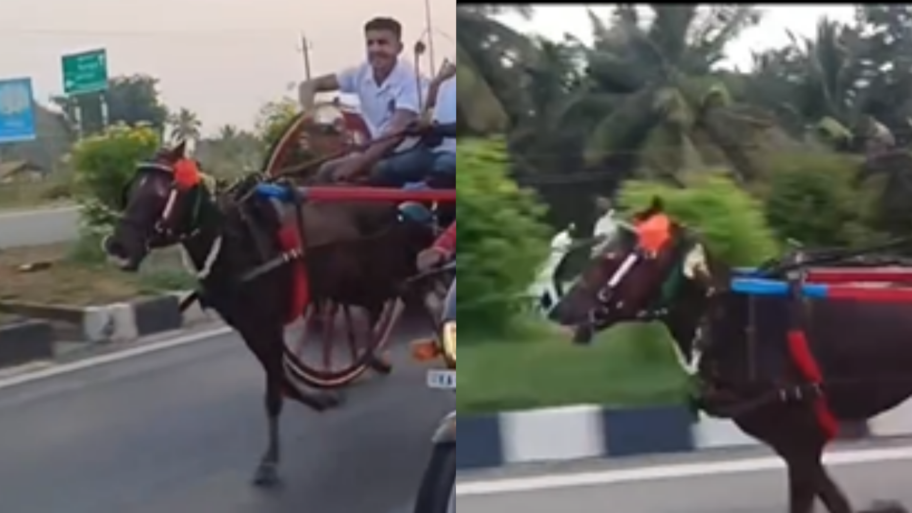 ರಾಷ್ಟ್ರೀಯ ಹೆದ್ದಾರಿಯಲ್ಲಿ ಯುವಕರ ಕುದುರೆ ರೇಸ್ ಹುಚ್ಚಾಟ.!