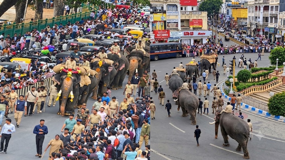 Mysuru Dasara 2026: ಜಂಬೂಸವಾರಿಗೆ 12 ಆನೆಗಳು ಫೈನಲ್! ಯಾವ್ಯಾವ ಆನೆಗೆ ಯಾವೆಲ್ಲಾ ಜವಾಬ್ದಾರಿ?