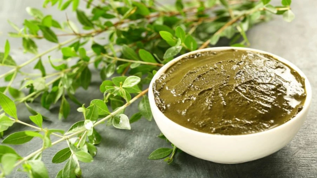henna leaves to darken hair