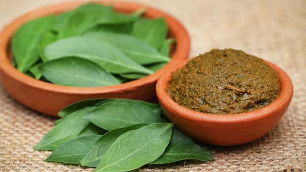 henna leaves to darken hair