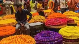 ಆಯುಧ ಪೂಜೆ, ವಿಜಯದಶಮಿಗೆ ಹೂವು-ಹಣ್ಣಿನ ಬೆಲೆ ಎಷ್ಟು? ಇಲ್ಲಿದೆ ಇಂದಿನ ದರ ಪಟ್ಟಿ!