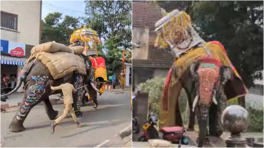ದಸರಾದಲ್ಲಿ ಆತಂಕ ಸೃಷ್ಟಿಸಿದ ಆನೆ.. ಅಂಬಾರಿ ಹೊತ್ತು ದಿಕ್ಕಾಪಾಲಾಗಿ ಓಟ! ಜಂಬೂಸವಾರಿ ಅರ್ಧಕ್ಕೆ ಮೊಟಕು