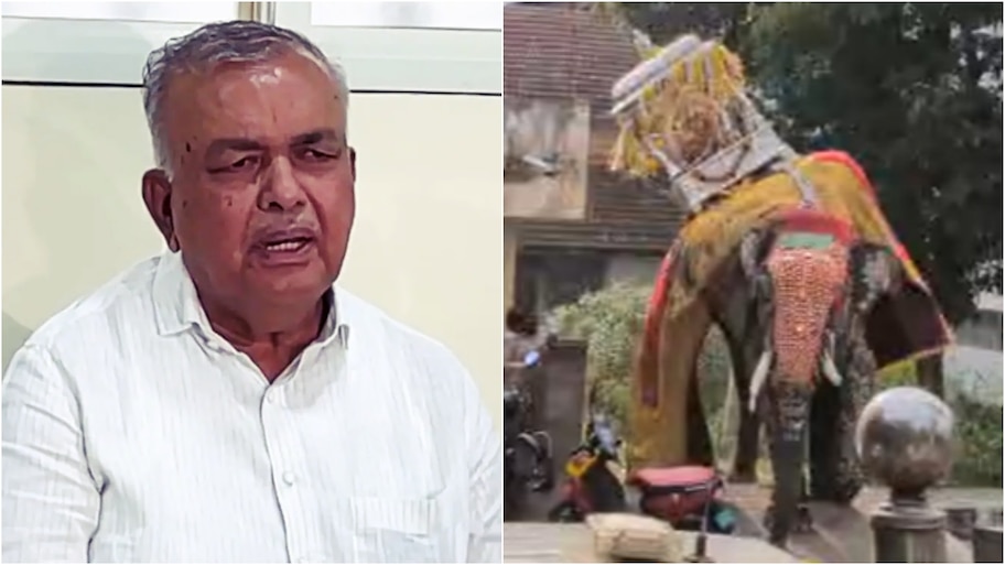 ಮುಂದಿನ ದಸರಾ ಜಂಬೂಸವಾರಿಗೆ ಮುನ್ನ 20 ದಿನ ತಾಲೀಮು ಕಡ್ಡಾಯ : ಸಚಿವ ರಾಮಲಿಂಗ ರೆಡ್ಡಿ