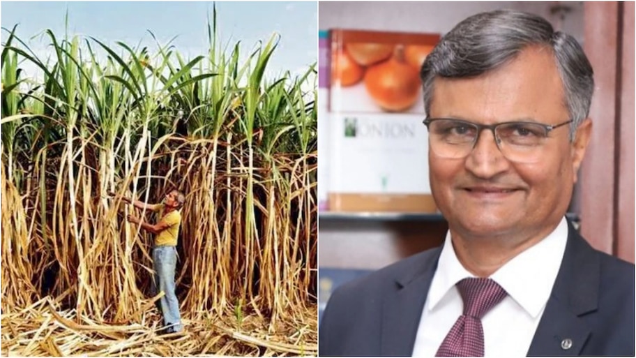 ಕಬ್ಬು ಬೆಳೆಗಾರರ ಸಮಸ್ಯೆಗಳ ಕುರಿತು ಮಹತ್ವದ ಸಭೆ : ಶಾಶ್ವತ ಪರಿಹಾರಕ್ಕೆ ಕೇಂದ್ರ ಸರ್ಕಾರದ ಹೆಜ್ಜೆ