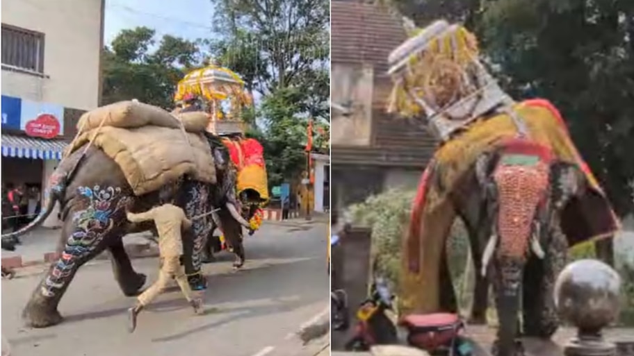 ಶಿವಮೊಗ್ಗ ದಸರಾ ಆನೆ ಬೆದರಿ ಓಡಿದ ಘಟನೆ ಬೆನ್ನಲ್ಲೇ ಹೊಸ ರೂಲ್ಸ್‌! ಮುಂದಿನ ವರ್ಷದಿಂದ ಜಂಬೂಸವಾರಿಗೆ ಕಟ್ಟುನಿಟ್ಟಿನ ನಿಯಮ