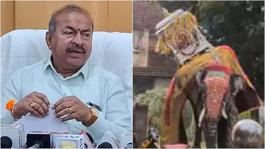 ತಾಯಿ ತನ್ನ ಕೈ ಮುರಿದುಕೊಂಡು ಊರನ್ನು ರಕ್ಷಿಸಿದ್ದಾಳೆ : ಶಾಸಕ ಚೆನ್ನಬಸಪ್ಪ