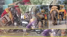 ಶಿವಮೊಗ್ಗದಲ್ಲಿ ದಸರಾ ಜಂಬೂ ಸವಾರಿ ದುರಂತಕ್ಕೆ ʼಸೋಮಣ್ಣʼ ಅಲ್ಲ... ಇವರೇ ಕಾರಣ..!