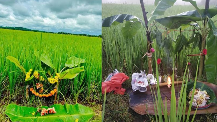 ಭೂಮಿ ಹುಣ್ಣಿಮೆ ಹಬ್ಬದ ಮಹತ್ವವೇನು? ಮಲೆನಾಡಿನ ರೈತರು ಭೂಮಿ ತಾಯಿಯನ್ನು ಪೂಜಿಸುವುದೇಕೆ?