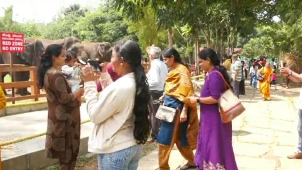 Jamboo Savari Elephant Prashanta