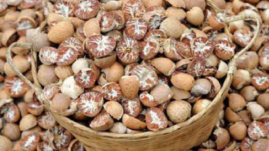 Arecanut Price: ಶಿವಮೊಗ್ಗ, ಸಾಗರ, ಚನ್ನಗಿರಿ ಸೇರಿ ವಿವಿಧ ಮಾರುಕಟ್ಟೆಗಳಲ್ಲಿ ಎಷ್ಟಿದೆ ಬೆಲೆ? ಇಲ್ಲಿದೆ ಸಂಪೂರ್ಣ ಮಾಹಿತಿ!
